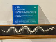 -生命奥秘博物馆