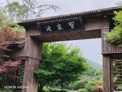 -习家池