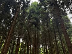 -娄山关景区