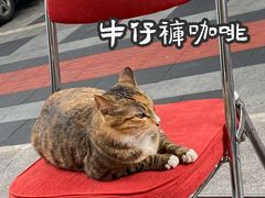 -Jeans Coffee牛仔裤咖啡