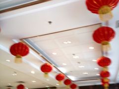 -金蝉食府(维吉奥广场店)