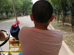 -西青郊野公园