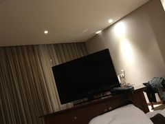 -南京国际博览中心酒店