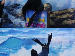 -左海海底世界