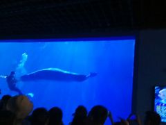 -多彩贵州城极地海洋世界