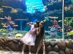 -华夏文旅海洋公园