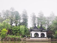 -红梅公园