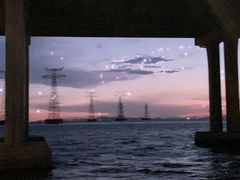 -宝安西湾红树林湿地公园