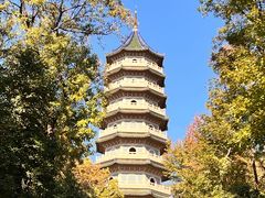 -灵谷景区