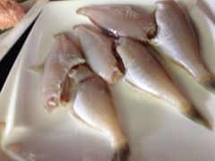iphone_upload_pic-蜀九香火锅(彩虹店)
