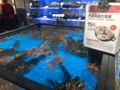 水产区-盒马鲜生(双清路店)