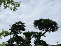 -龙华寺