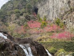 -刘伯温故里景区百丈漈