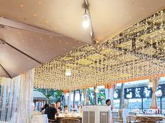 -二荆条·蜀鲜汇城市森林火锅