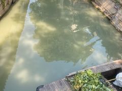 -观桥阁(锦溪店)