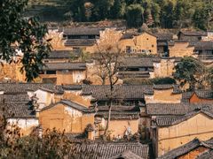 -杨家堂村