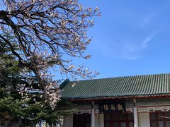 -南山公园