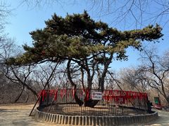 -北陵公园