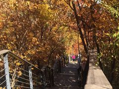 -黑龙潭风景区