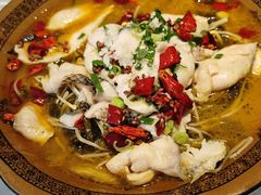 -阿英煲(凉城路店)