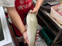 -洪平血旺椒麻鸡雅鱼饭店(熊猫大道店)