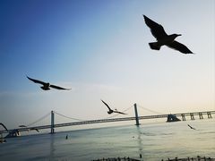 -星海广场