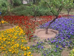 -元大都城垣遗址公园