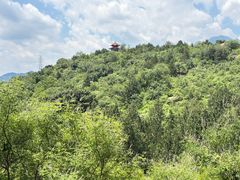 -白水寺森林公园