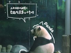 -五龙山野生动物王国
