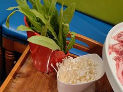 -北门涮肉·铜锅涮肉(南锣鼓巷店)