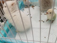 -万达广场(沈阳铁西店)