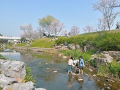 -羊山湖公园