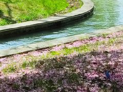 -无锡梁鸿湿地丽笙度假酒店·流觞西餐厅