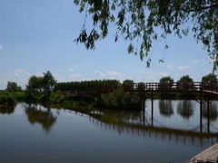 -白渔泡湿地公园