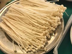-月圆火锅(宁海东路二店)