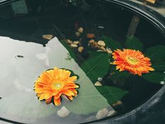 -天目湖御水温泉·度假酒店