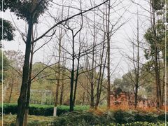 -塔子山公园