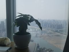 -WFC会仙楼观景台