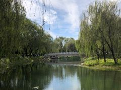 -北坞公园