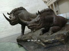 景点-大庆市博物馆