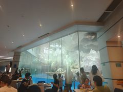 -帝企鹅自助餐厅•儿童岛•真企鹅(长隆企鹅酒店)