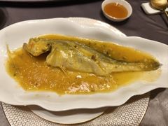 -骏莱海鲜鱼港(五角场店)