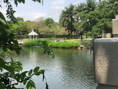 -四海公园(南山区)