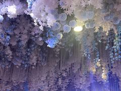 -香城名宴大酒楼