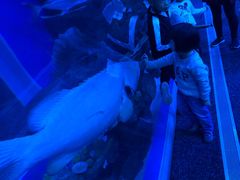 -成都浩海立方海洋公园