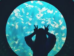 -成都浩海立方海洋公园