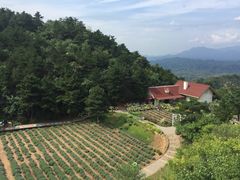 云峰山-云峰山自然风景区