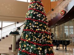 -上海明天广场JW万豪酒店