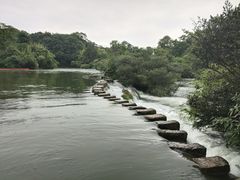 -花溪公园