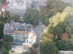 -裕和堂中医推拿艾灸(太古汇臻品店)